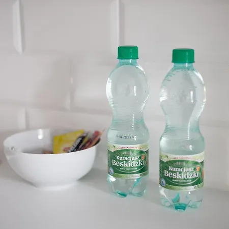 Burakowska Pastel Elegant By Bookinghost