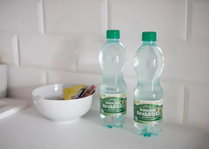 Burakowska Pastel Elegant By Bookinghost